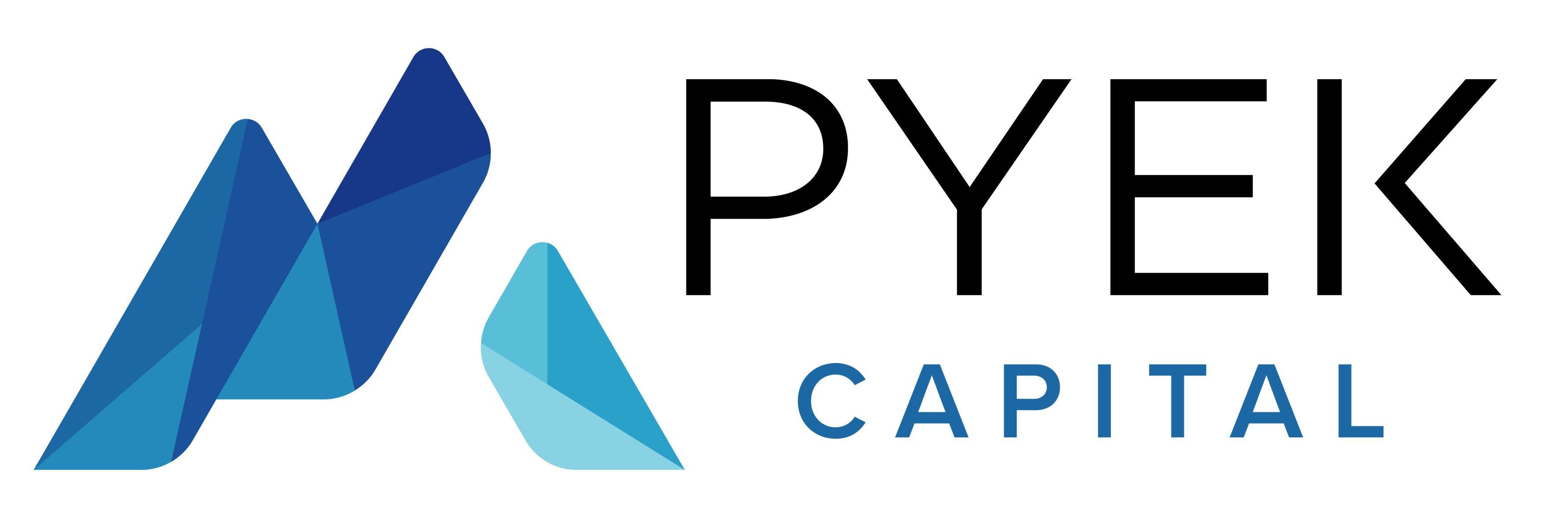 Pyek Capital