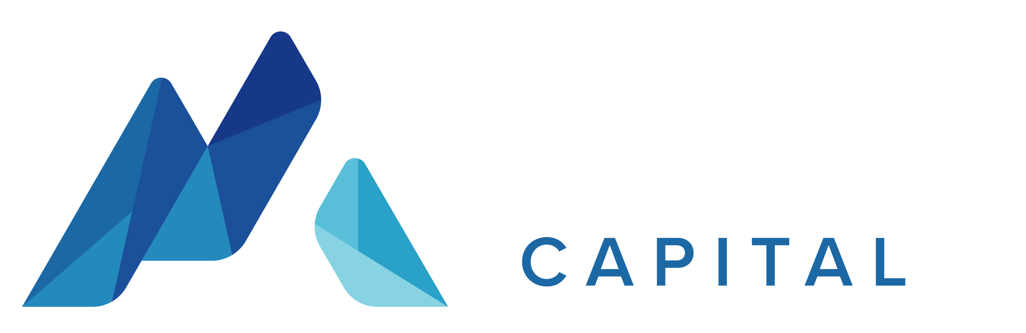 Pyek Capital